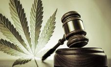 Decriminalization of Marijuana